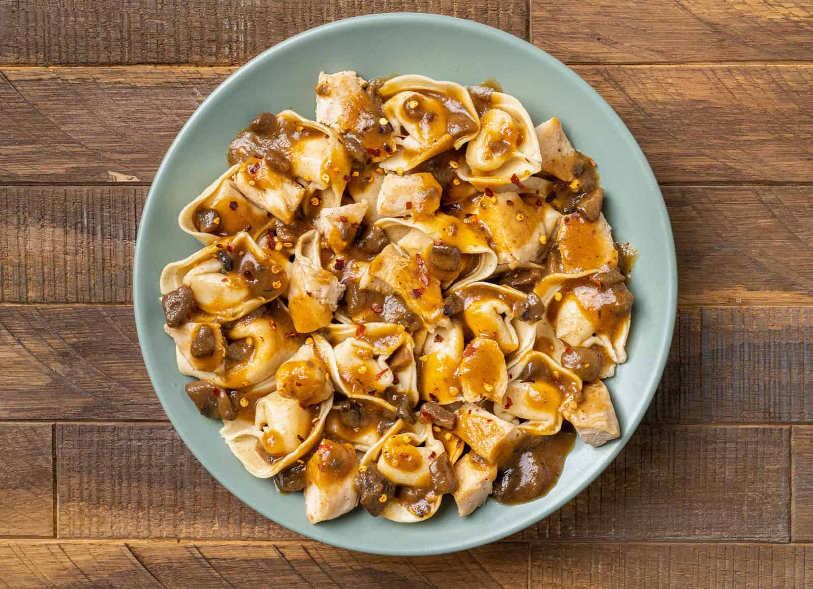 A blue plate with cheese tortelloni and seared chicken pieces topped with a brown gravy sauce with mushroom chunks.